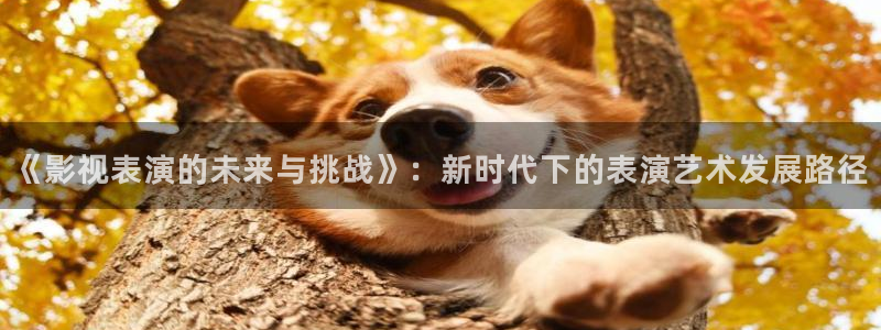 韩国午夜伦理大片：《影视表演的未来与挑战》：新时代下的表演艺术发展路径