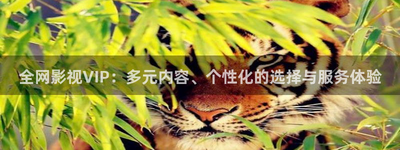 毛片午夜影院：全网影视VIP：多元内容、个性化的选择与服务体验