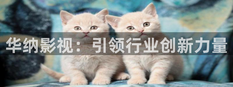 四虎影院午夜：华纳影视：引领行业创新力量