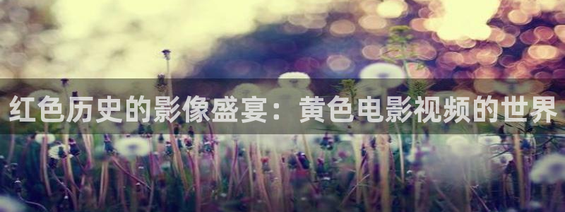 秋霞电影网午夜电影：红色历史的影像盛宴：黄色电影视频的世界