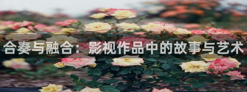 汤姆午夜影院：合奏与融合：影视作品中的故事与艺术