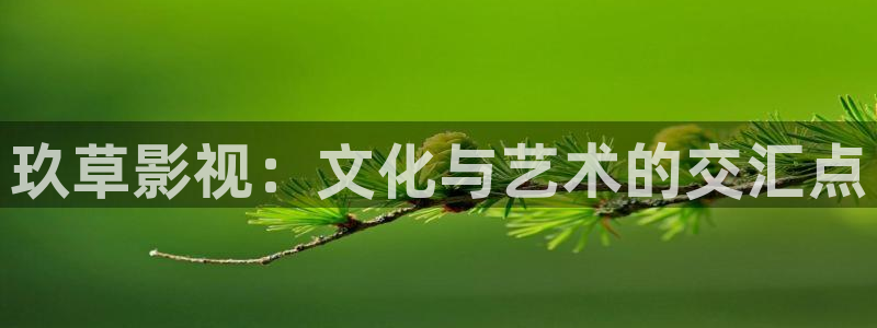 午夜电影免费在线：玖草影视：文化与艺术的交汇点