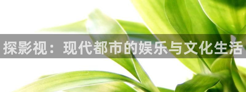 韩国午夜剧场在线观看：探影视：现代都市的娱乐与文化生活