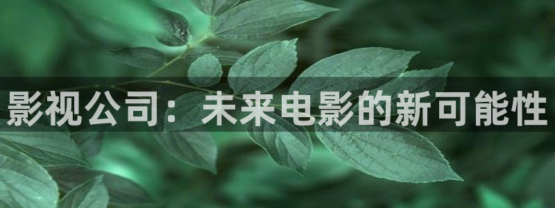神马午夜我不卡电影：影视公司：未来电影的新可能性