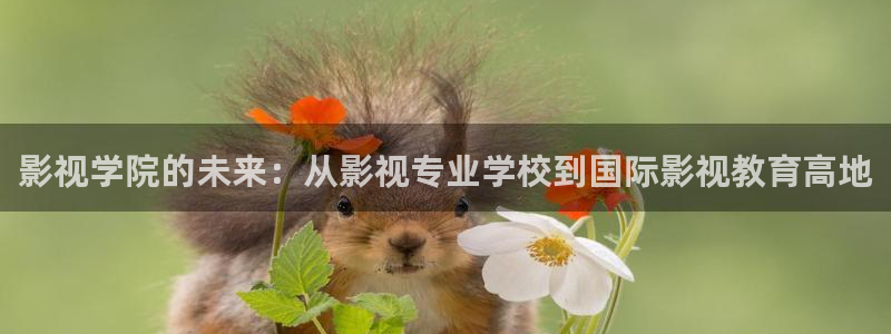 国产午夜电影网站：影视学院的未来：从影视专业学校到国际影视教育高地