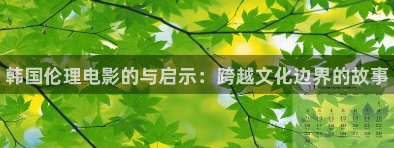 午夜19影院：韩国伦理电影的与启示：跨越文化边界的故事
