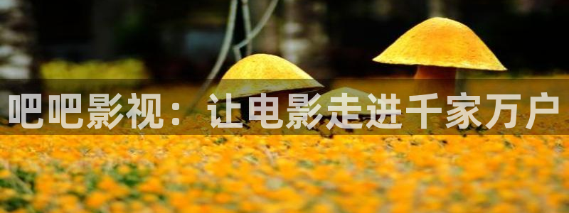 秋霞网午夜电影：吧吧影视：让电影走进千家万户
