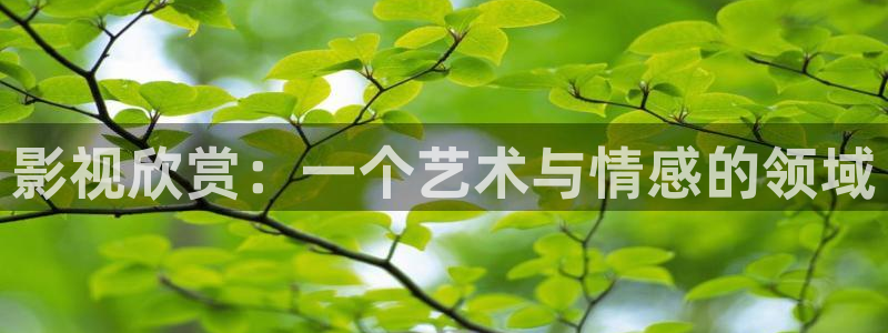 午夜 电影：影视欣赏：一个艺术与情感的领域
