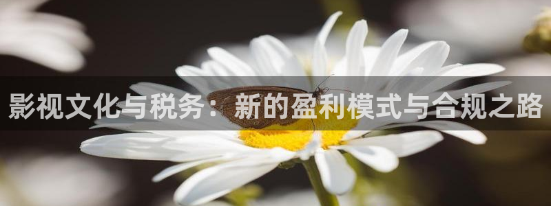 杰克影院欧美午夜：影视文化与税务：新的盈利模式与合规之路